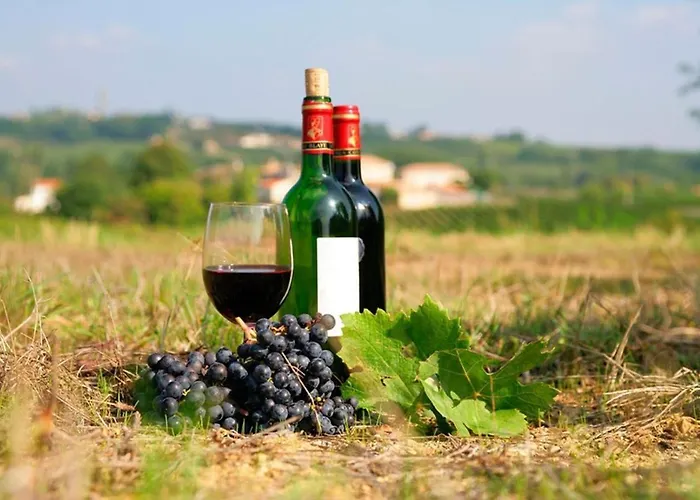 Villa Occ34 - - Quinlan Capestang